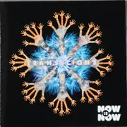 CD - Now Is Now - Transitions