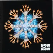 Now Is Now - Transitions