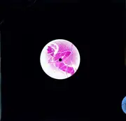 12inch Vinyl Single - NOZE - YOU HAVE TO DANCE - INCL.RMXS BY M.KADEN/L.JONES