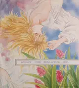 Picture Disc - Nozomu Naka , Yoshihiro Kunimoto - Sayuri Amagi Matendo Sonata = 魔天道ソナタ 天城小百合