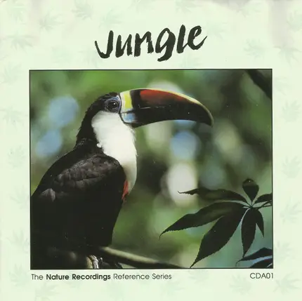No Artist - Jungle