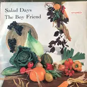 The New World Show Orchestra - Salad Days / The Boy Friend