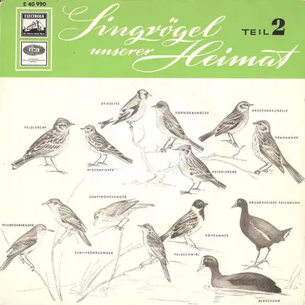 No Artist - Singvögel Unserer Heimat - Teil 2