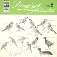 No Artist - Singvögel Unserer Heimat - Teil 2