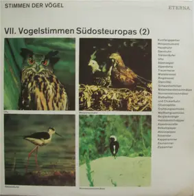 No Artist - Stimmen Der Vögel - VII. Vogelstimmen Südosteuropas (2)