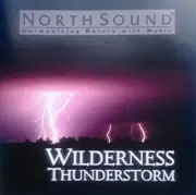 CD - Bob Baldwin - Wilderness Thunderstorm