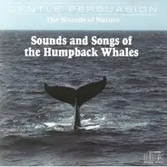 No Artist - Sounds & Songs of the Humpback