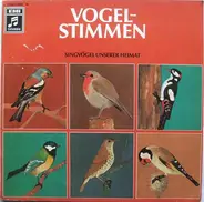 No Artist - Vogelstimmen (Singvögel Unserer Heimat)