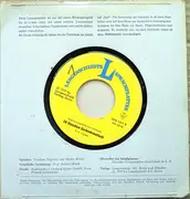 7inch Vinyl Single - No Artist - 30 Stunden Serbokroatisch Zum Lehrbuch - Mono