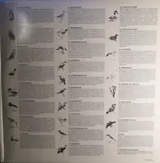 Double LP - Europäische Vogelstimmen - Klänge Aus Wald Und Flur - Europäische Vogelstimmen