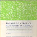 LP - Field Recording Sampler - Sounds Of A Tropical Rain Forest In America - COVER VARIATION