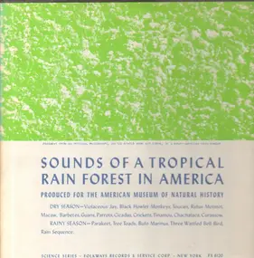 Field Recordings - Sounds Of A Tropical Rain Forest In America