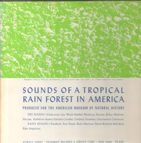 Field Recordings - Sounds Of A Tropical Rain Forest In America