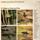 LP - No Artist - Stimmen Der Vögel Mitteleuropas - V. Vögel In Feld Und Flur