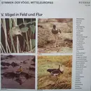 LP - No Artist - Stimmen Der Vögel Mitteleuropas - V. Vögel In Feld Und Flur