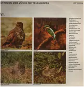 LP - Stimmen der Vögel Mitteleuropas - Stimmen der Vögel Mitteleuropas - Folge VI.
