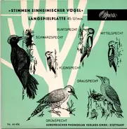 No Artist - Stimmen Einheimischer Vögel