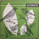 7inch Vinyl Single - No Artist - Stimmen Einheimischer Vögel - Mono