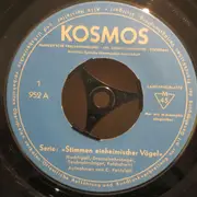 7inch Vinyl Single - No Artist - Stimmen Einheimischer Vögel - Mono