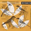 7inch Vinyl Single - No Artist - Stimmen Einheimischer Vögel