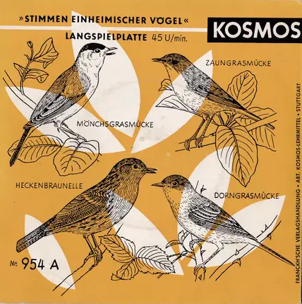 C. Fentzloff - Stimmen Einheimischer Vögel