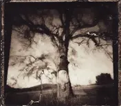 No Motiv - Daylight Breaking