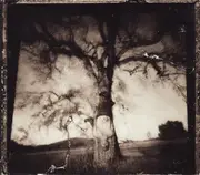 CD - No Motiv - Daylight Breaking - Digipak