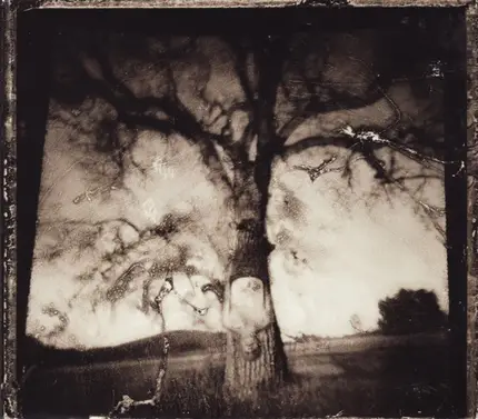 No Motiv - Daylight Breaking