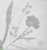 Quetzal - Dead End Tracks