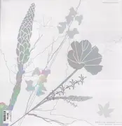 12inch Vinyl Single - Nsi - Clara Ghavami Extended
