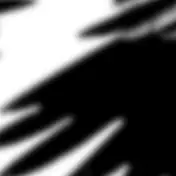 N - Ravens