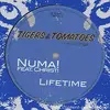 12'' - Numa! Feat. Christi - Lifetime - Blue Transparent Vinyl