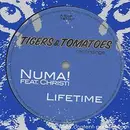 12'' - Numa! Feat. Christi - Lifetime - Blue Transparent Vinyl