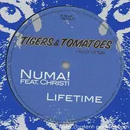 Numa! Feat. Christi - Lifetime