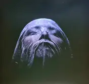Numenorean - Adore