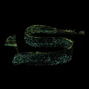 Nubian Mindz - Pulsing Heart EP