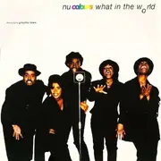 12'' - Nu Colours - What In The World