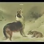The Nudge - AS GOOD AS GONE