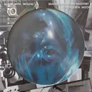LP - Nurse With Wound - Brained By Fallen Masonry - Picture Disc