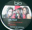 12inch Vinyl Single - NV - Silly Fool
