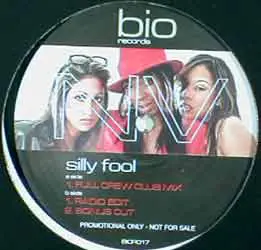 N.V - Silly Fool