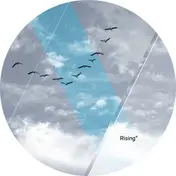Nx1 - Rising Label 01