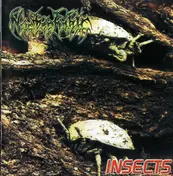 Nyctophobic - Insects