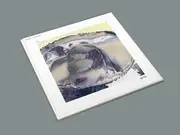2 x 12inch Vinyl Single - Octal Industries - Changing Seasons - Clear & purple Vinyl, LTD Ed
