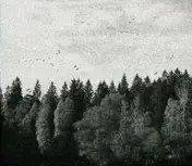 October Falls - A Collapse of Faith
