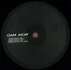 12inch Vinyl Single - Oam Akay - Past