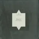 12inch Vinyl Single - Observer - Principium
