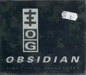 Psychick Warriors Ov Gaia - Obsidian