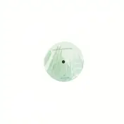 obsolete music technology - My Neurosis