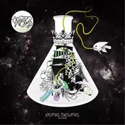 Ogris Debris - Salty Womb, Brothers Vibe Rmxs